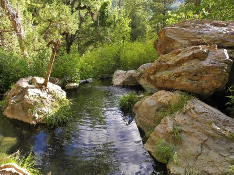 The New Mexico Hike That Leads To The Most Unforgettable Destination