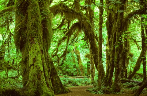 This Peaceful Place In Washington Is One Of The Quietest Spots In The Entire Country