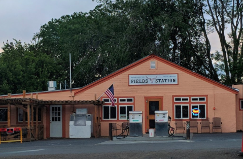 The Tiny Cafe In The Middle Of Nowhere That Serves The Best Milkshakes In Oregon