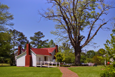 There's A Medical Museum In North Carolina That's Both Wonderfully Weird And Creepy