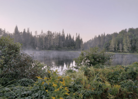 8 Lesser-Known State Parks In New Hampshire That Will Absolutely Amaze You