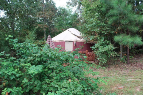 Stay In This Unparalleled Tennessee Yurt For A Night Of Pure Magic