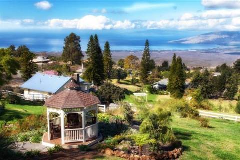 Get Away From It All At This Charming Cottage In Hawaii With Surreal Views