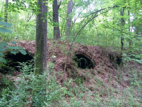 Most People Don't Know About These Strange Ruins Hiding In Alabama