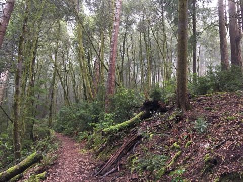 The Trail In Oregon That Will Lead You On An Adventure Like No Other