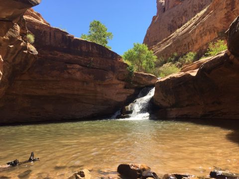 9 Refreshing Natural Pools You’ll Definitely Want To Visit This Summer In Utah