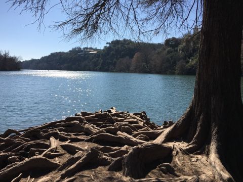 This Quaint Little Trail Is The Shortest And Sweetest Hike In Austin