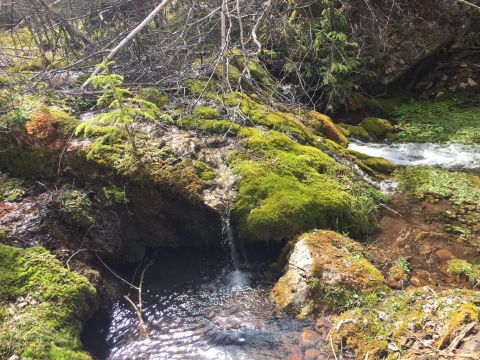 The Little Known Canyon That Will Show You A Side Of South Dakota You’ve Never Seen Before