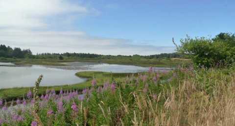 This Is The Newest State Park In Oregon And It's Incredible