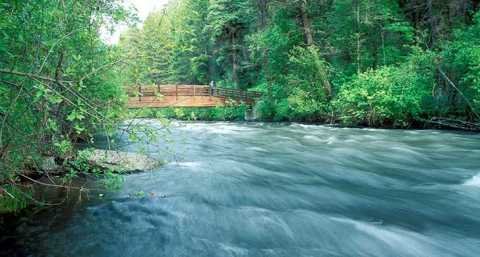 9 Lesser-Known State Parks In Oregon That Will Absolutely Amaze You