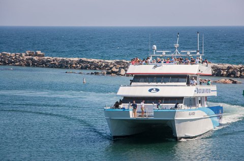 This Boat Ride Will Take You On A Tour Of Rhode Island's Wind Farm