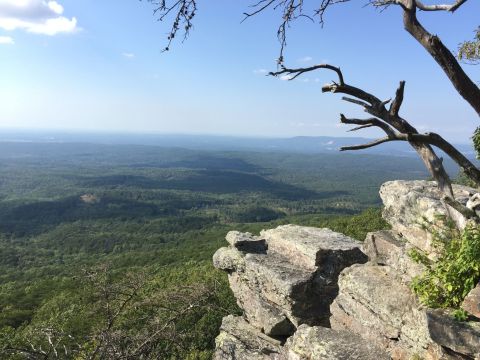 The Easy Trail In Alabama That Will Take You To The Top Of The World