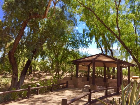 The Secret Garden Hike In Nevada Will Make You Feel Like You’re In A Fairytale