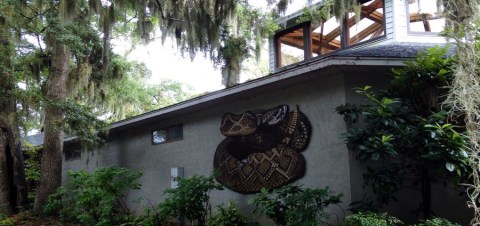 Most People Don't Know About This Underrated Zoo Hiding In South Carolina