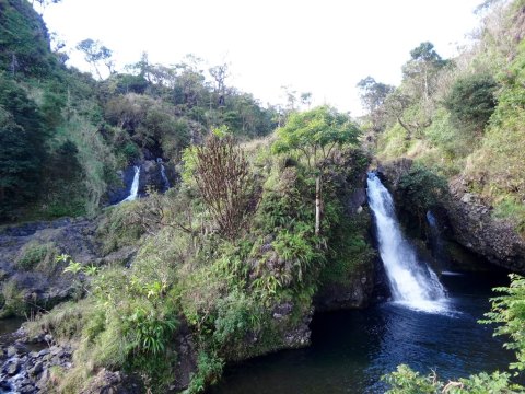 You’ll Want To Spend All Day At This Waterfall-Fed Pool In Hawaii