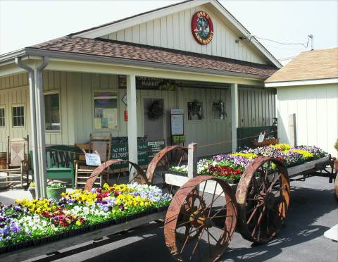 Pick Your Own Fruit At This One Of A Kind Farm In West Virginia