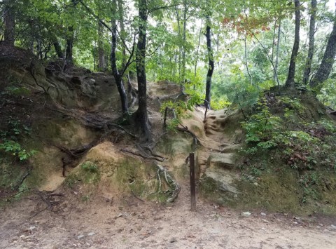 The Tunnel Trail In South Carolina That Will Take You On An Unforgettable Adventure