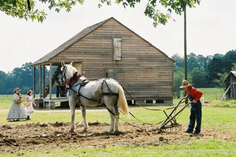 The Unique Village Near New Orleans Where Time Stands Still