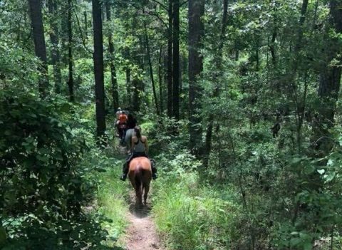 This Incredible Horseback Riding Trail Will Show You A New Side Of Louisiana