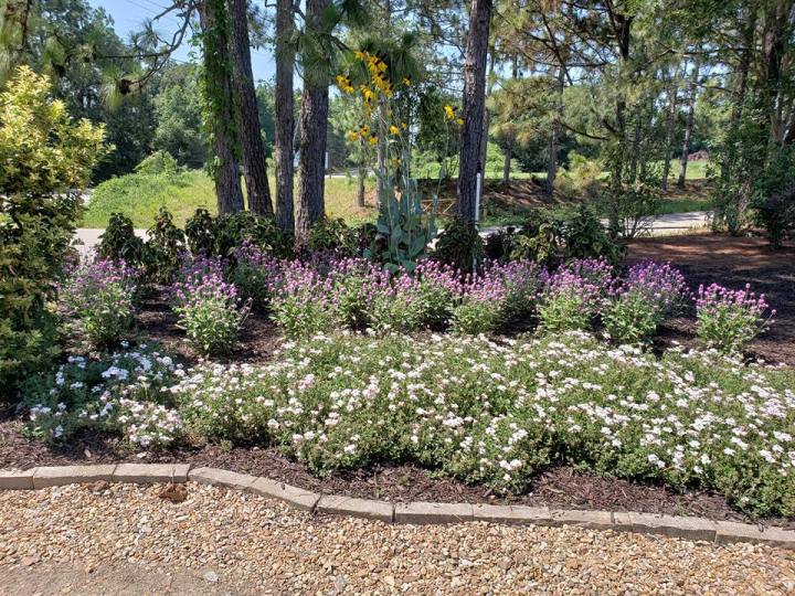 flower bed nursery