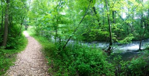 The Magical River Walk In Vermont That Will Transport You To Another World