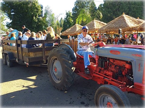 You Could Spend All Day At This Picture Perfect Apple Farm In Northern California