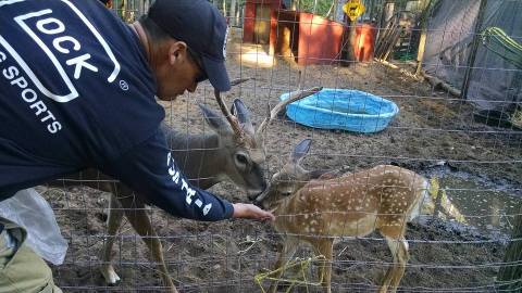 The Whole Family Will Have A Blast At This Unique Petting Zoo In Michigan