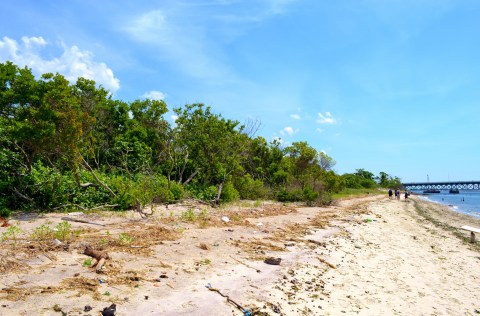 A Trip To This Fossil Beach In New York Is An Adventure Like No Other