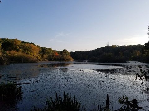 The Whole Family Will Love This Little-Known Camping Spot In Michigan