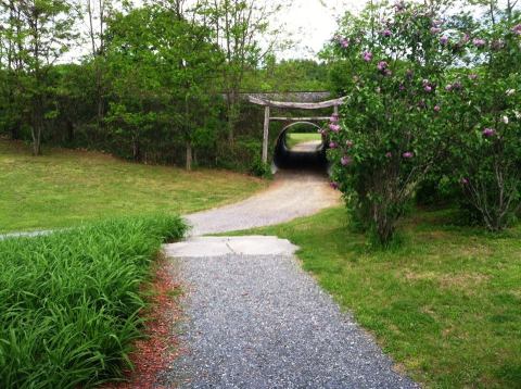 The Secret Garden Hike In Vermont That Feels Like A Scene From A Fairytale