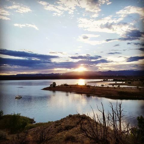 The One Beach In New Mexico That's Absolute Paradise If You Love Hunting For Seashells