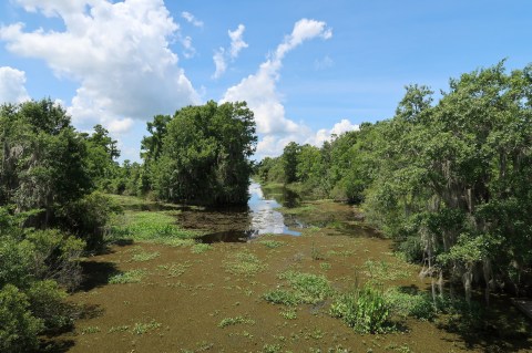 The Breathtaking Overlook In Louisiana That Lets You See For Miles And Miles