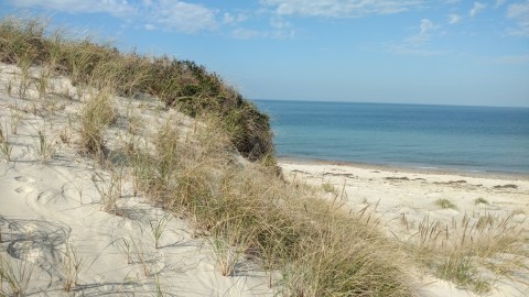 Sink Your Toes In The Sand At The Longest Beach In Massachusetts