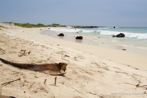 The Natural Beach In Hawaii That Feels Like Your Own Private Island