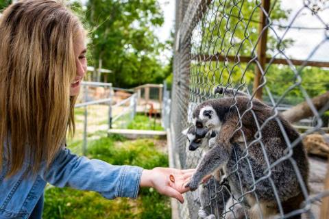 Most People Don’t Know This Missouri Zoo And Adventure Park Even Exists