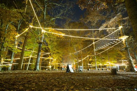 The Little Known Treetop Park That's Unlike Any Other In Kentucky