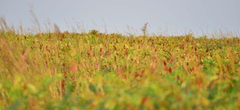 The Underrated Natural Wonder Every Nebraskan Should See At Least Once