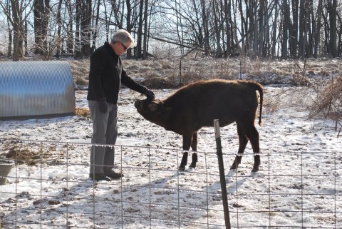 Not Many People Know About This Animal Sanctuary Right Here In West Virginia