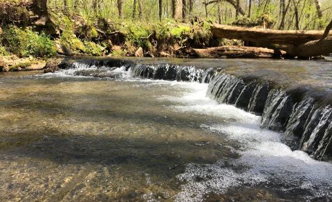 This Nature Park Just Outside Of Nashville Is The Perfect Place To Escape The City