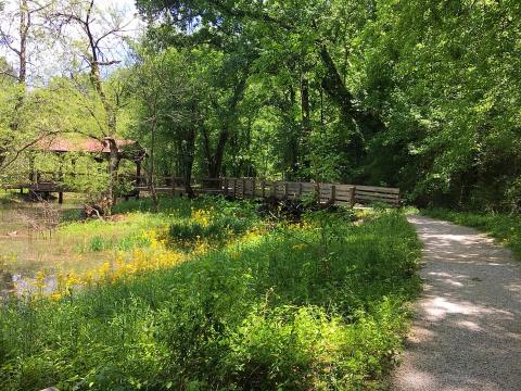 The Historic Waterfront Trail In North Carolina That Is An Adventurer's Dream