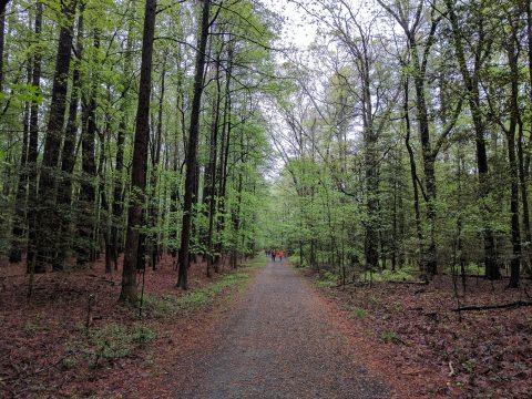 The Underrated Natural Wonder Every Delawarean Should See At Least Once