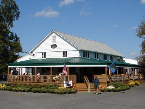 Try The Best Peach Ice Cream Ever At This Delaware Orchard Before Summer's Over