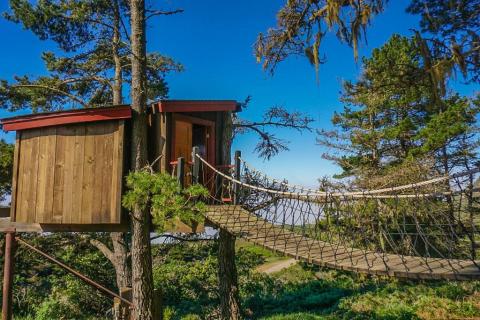 This Treehouse Resort In Northern California May Just Be Your New Favorite Destination