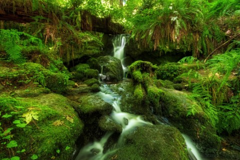 Your Kids Will Love This Easy 2-Mile Waterfall Hike Right Here In Northern California