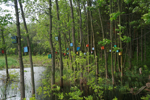 This Mysterious Birdhouse Forest Hiding In Vermont Is Like Something From A Dream