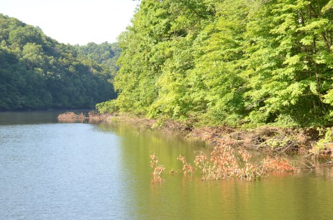 The One Amazing Place Near Nashville Where You Can Camp Right On The Lake