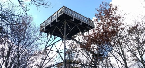 The Incredible Fire Tower Hike That Will Give You Unparalleled Views Of North Carolina