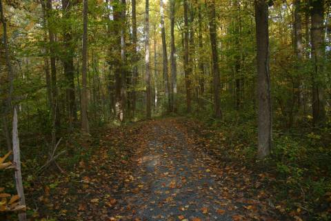 The Blackbird Creek Murder Mystery In Delaware Still Baffles People Today