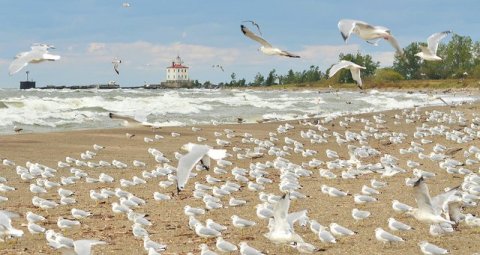 9 Stunning Ohio Beaches That Look And Feel Like The Ocean