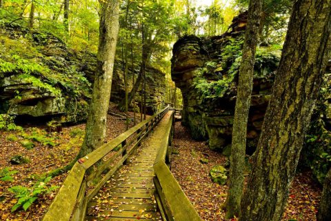 11 Totally Kid-Friendly Hikes In West Virginia That Are 1 Mile And Under